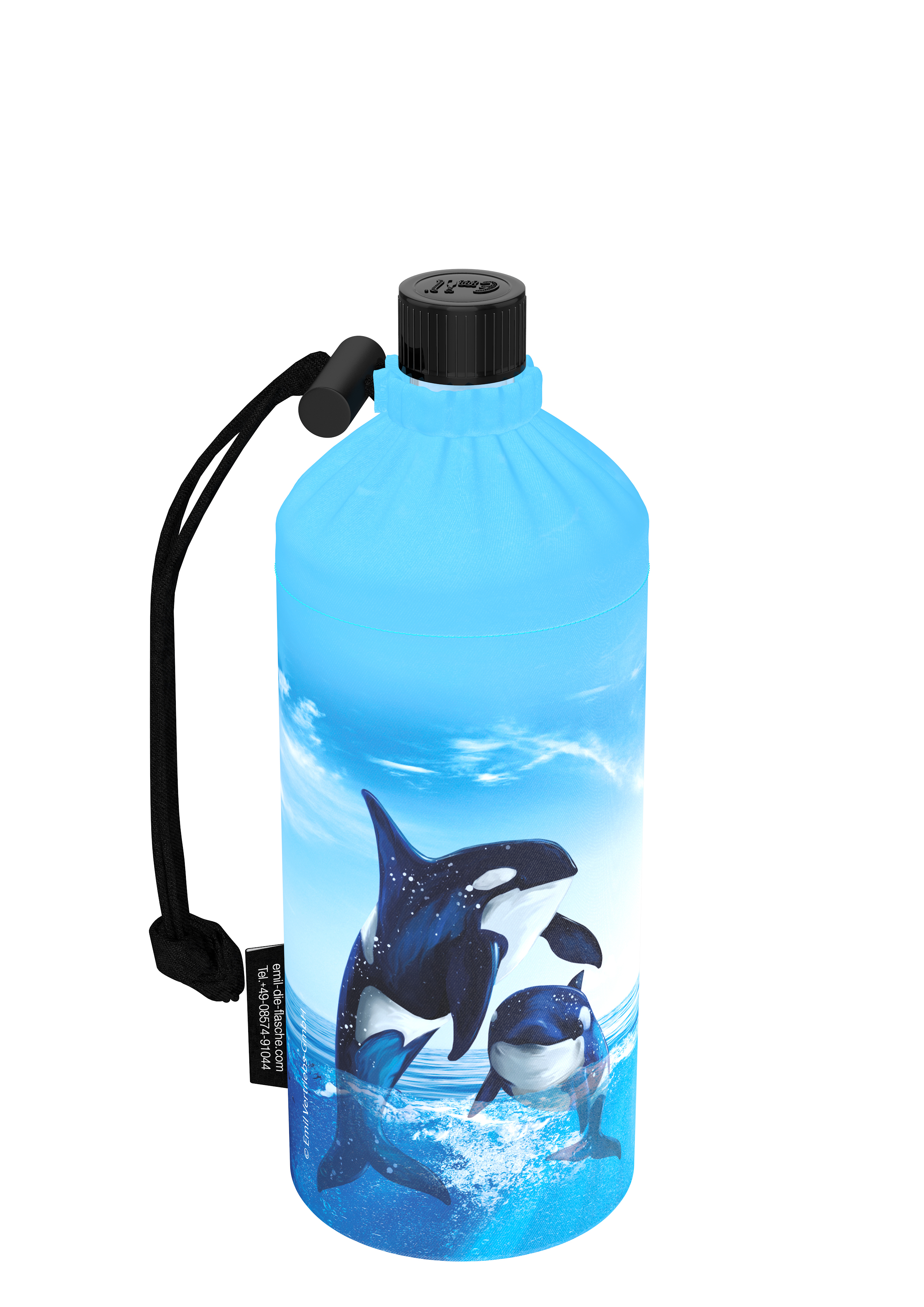 401015_Sea_Life_links.jpg