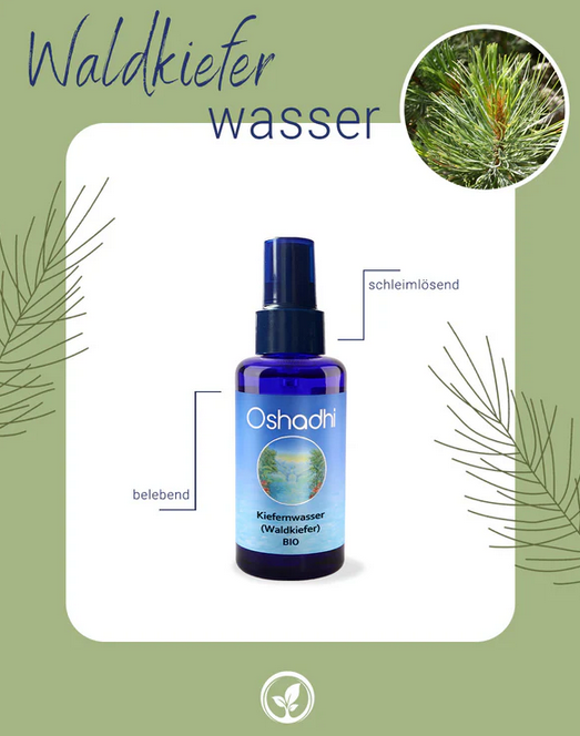 Screenshot 2025-06-24 at 09-46-36 Kiefernwasser (Waldkiefer) bio - 100% naturrein  Oshadhi.png