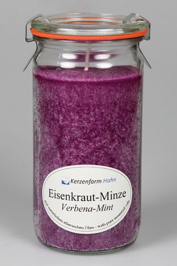 45055 Eisenkraut-Minze 850204.jpg