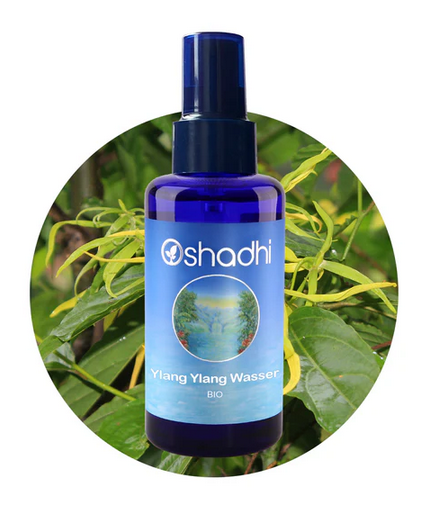 Screenshot 2025-06-24 at 09-47-42 Ylang Ylang Wasser bio - reines Pflanzenwasser